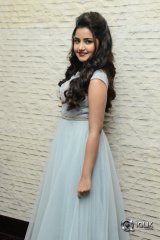 Anupama Parameswaran At Vunnadhi Okate Zindagi Movie Pre Release Function